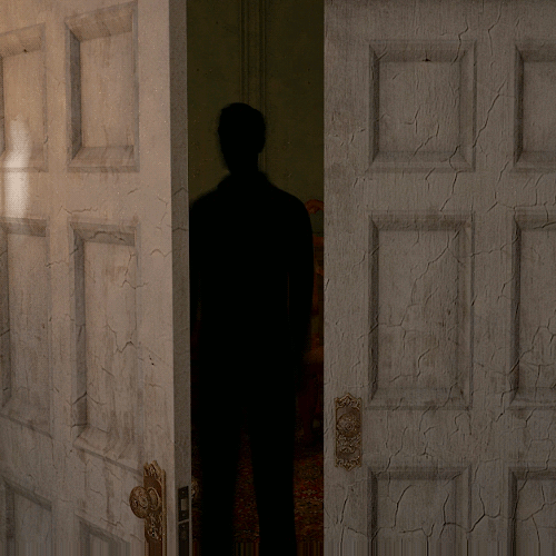 locations + gifs 2/∞ghost of thornton hallshadows.