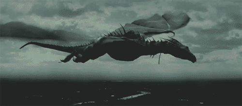 flies are waiting