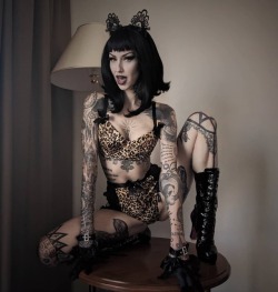 Shellydinferno:  Meowstress This Set Amongst Much More Stuff Is Up For Sale In My