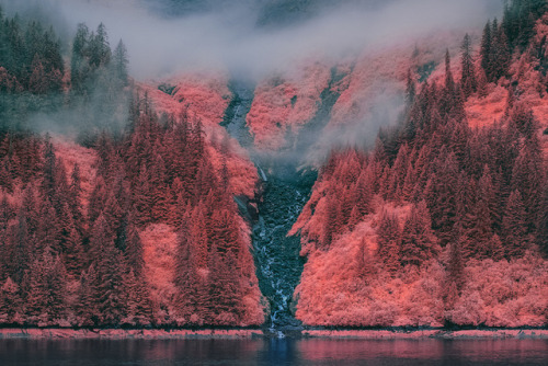 landscape-photo-graphy: Exquisite Infrared Pictures of Alaska by Bradley G. Munkowitz