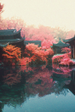 mstrkrftz:  Guozhuang Garden 