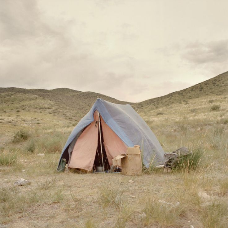 wakingupinnature:  Love Camping? Follow wakingupinnature!