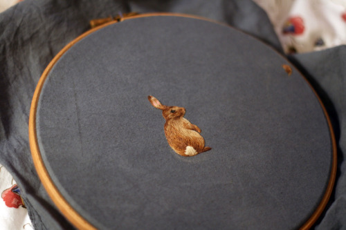 therhumboogie:  By Chloe Giordano, easily one of my favourite artists of the moment, stitching the most incredible, stunningly beautiful little woodland critters in perfect illustrative detail. I want to buy that little mouse with all my heart.