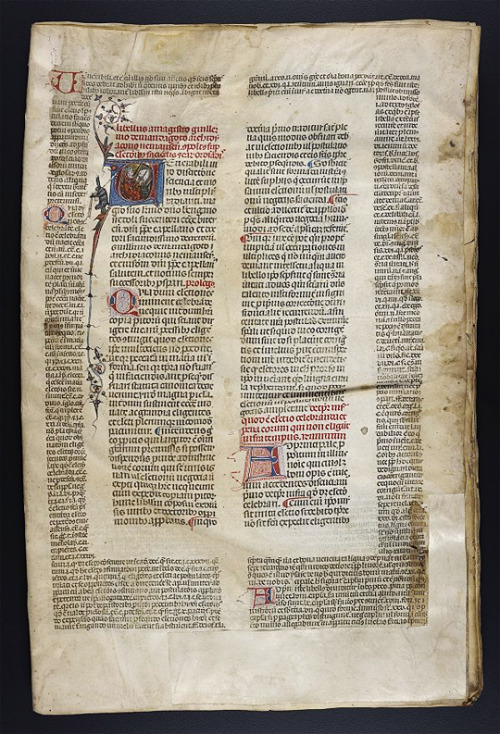 As the work is a commentary on canon law, it makes perfect sense that fol. 1r of Ms. Codex 729 would