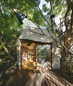 archatlas:    Bird’s Nest Atami Tearoom Hiroshi Nakamura