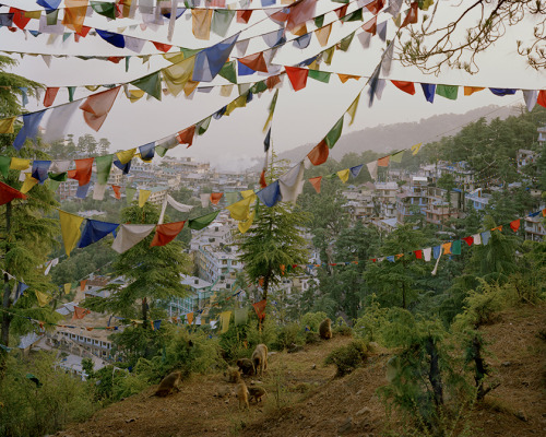 Porn jumblepusher:Simon Norfolk. “Tibetan refugees photos