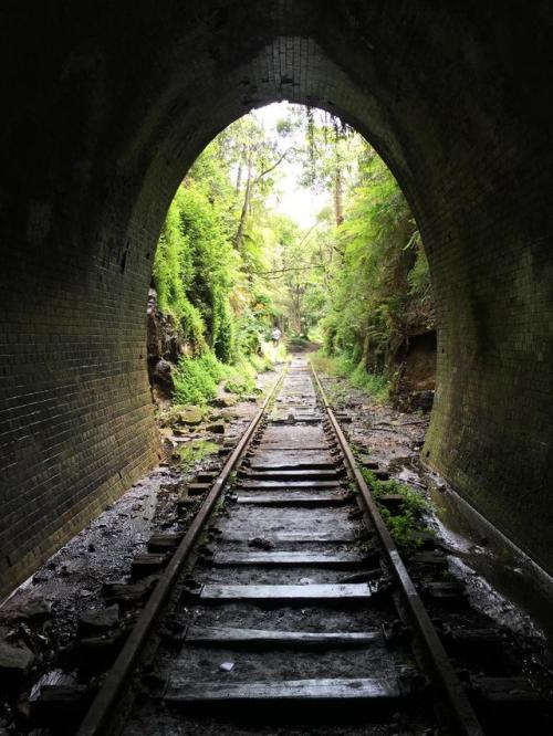 abandonedandurbex:Abandoned rail tunnel (Helensburgh NSW, Australia)[3024x4032]Source: openp