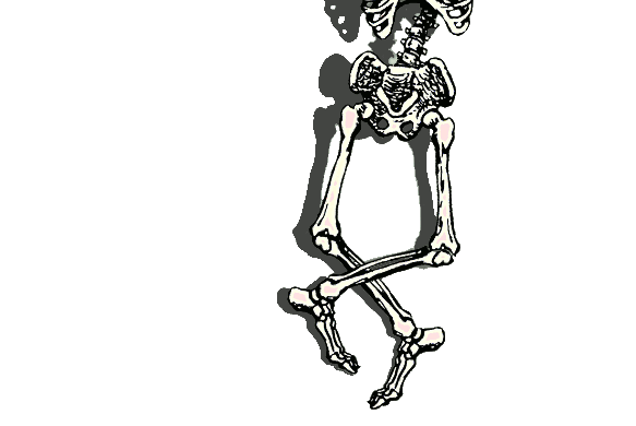intensional:  i cut the poor skeleton in half but he’s still busting those moves