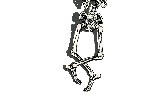 intensional:  i cut the poor skeleton in half but he’s still busting those moves 