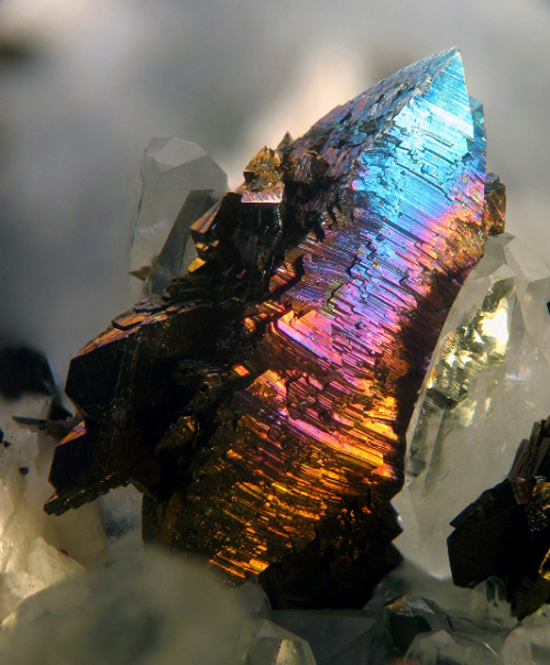 underthescopemineral:Marcasite, Calcite      FeS2,CaCO3Locality:Limites quarry, Ave-et-Auffe, Rochef