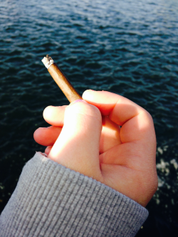 gritemos-hasta-que-no-quede-nada:  follow—the—moon:  Blunts on the beach ✊