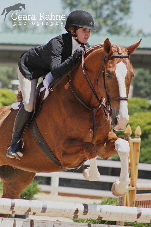 ceararahne: I am still editing photos from 2 months ago at the Colorado Horse Park :P Here’s o