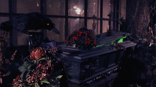awesome-pics-blog:  getting in the “spirit”  