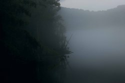 alexsattlerphotography:  Fog Treatment 5.27Just