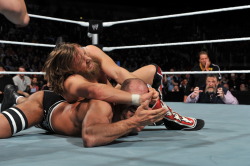 fishbulbsuplex:  Daniel Bryan vs. Cesaro