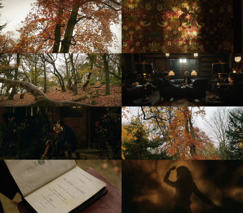  The Middle-Earth aesthetics | Tolkien (2019) 