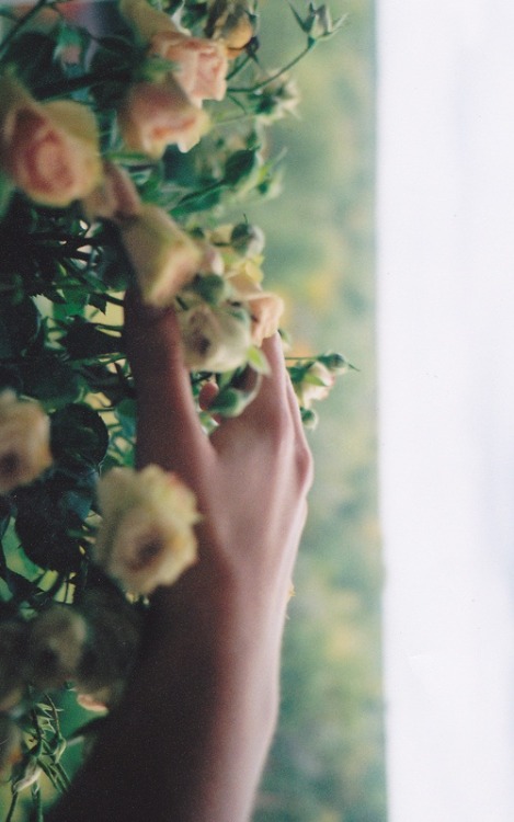 saint:  vintage blog 
