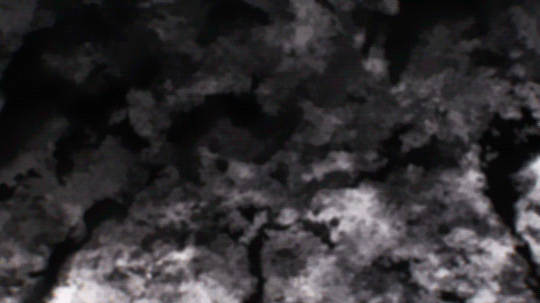 Petrichor in the park.