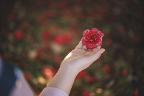 2022-03-27Spring, Camellia PicnicCanon EOS R3 + RF50mm f1.2LInstagram  |  hwantastic79vivi