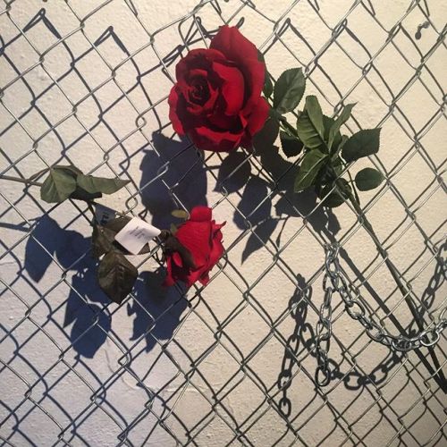 silk101:  -