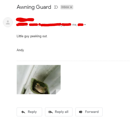 thedoormann:my stepdad emailed my whole family a picture of a frog he found