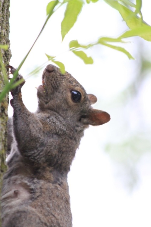 You’ve got a little crumb there, ma’am.