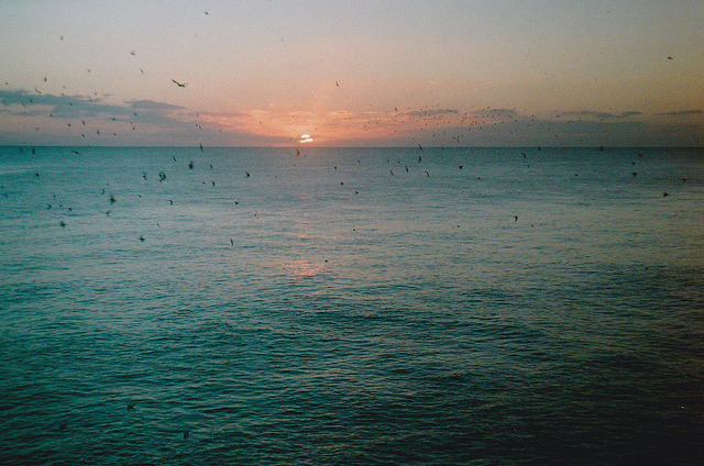 bonjour-ka:  sem título by sara.robin on Flickr.