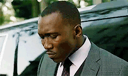 tumblr_inline_p7t5ppMFkn1v0z5dk_250.gif