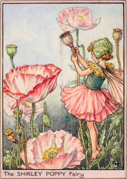 art-from-me-to-you: Cicely Mary Barker, Fairies of the Garden