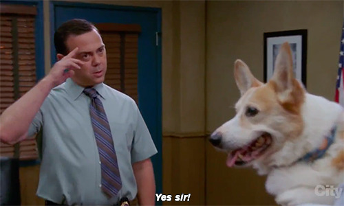 ohfili: please watch brooklyn nine-nine