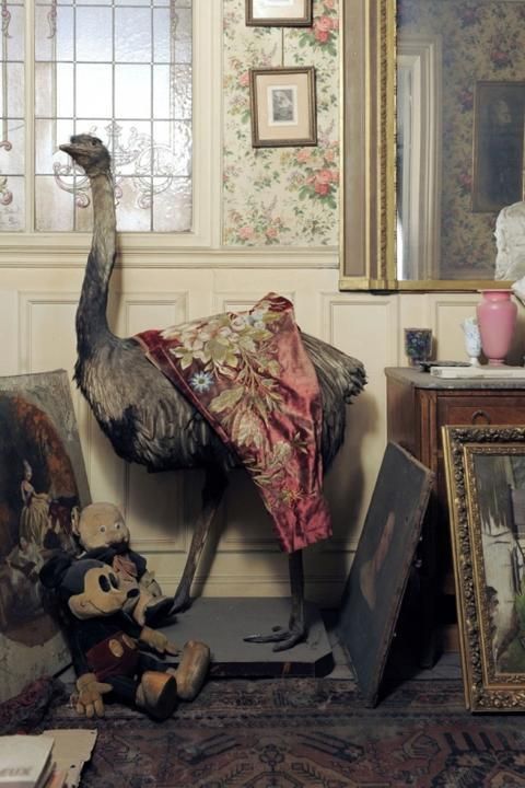 thevintaquarian:  Ah Paris.    A Parisian apartment, vacant since 1942, was discovered