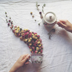 boredpanda:    Poetic Scenes Of Teacups, Overflowing With Beautiful Flowers By A Russian Artist