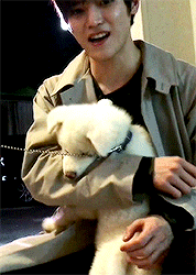 nakasyuta:random soft taeyong moments for @dovounq ♡ 