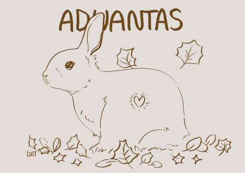 Wow so soon?? Another Aduantas chapter? You can read it here