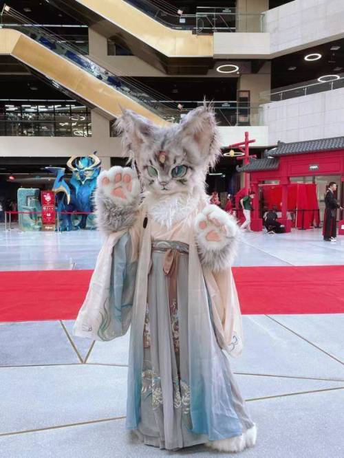 xmagnet-o:fuckyeahchinesefashion:furry cat in chinese hanfu by