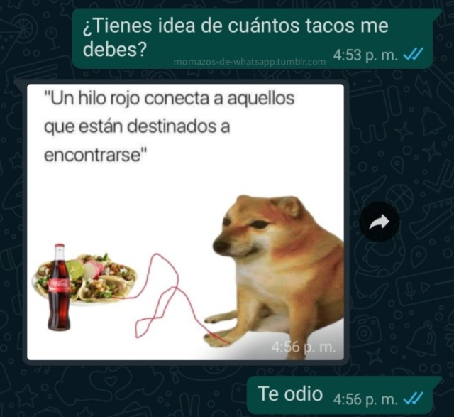 Whatsapp Chat Tumblr Posts Tumbral Com