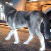 a-hiatus-blog:  wowsla:  My GTAV adventures while playing as a dog  Oh god I need this 