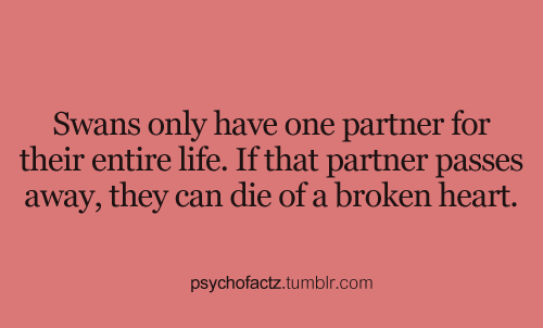 psychofactz:  More Facts on Psychofacts :) 