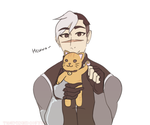 themixedcoffee:paladins + their respective animals! (as plushies) 