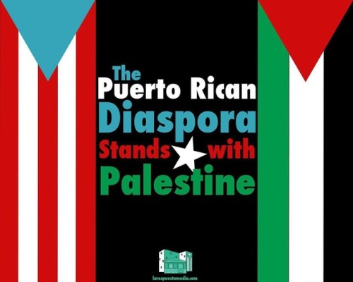 Ahora y siempre#palestina #palestina #bds #colonialism #boricuadiaspora #puertoricandiaspora #LaRe