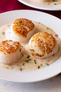 foodffs:Pan Seared Scallops with Bacon Cream SauceReally nice recipes. Every hour.