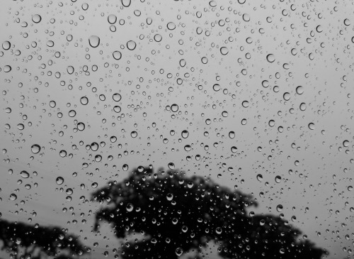spectral-insomnia:  Cielo Gris Own 