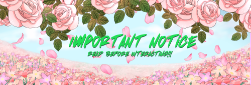 Got A Follow Or Like From This Blog? Sorry, This Is A Main Blog, And The Side Blogs Are The Ones I Use!