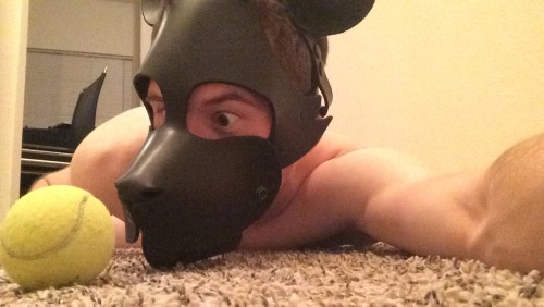 Porn bdsmpetplay:  theblupup:  puparc:  Hey Tumblr, photos