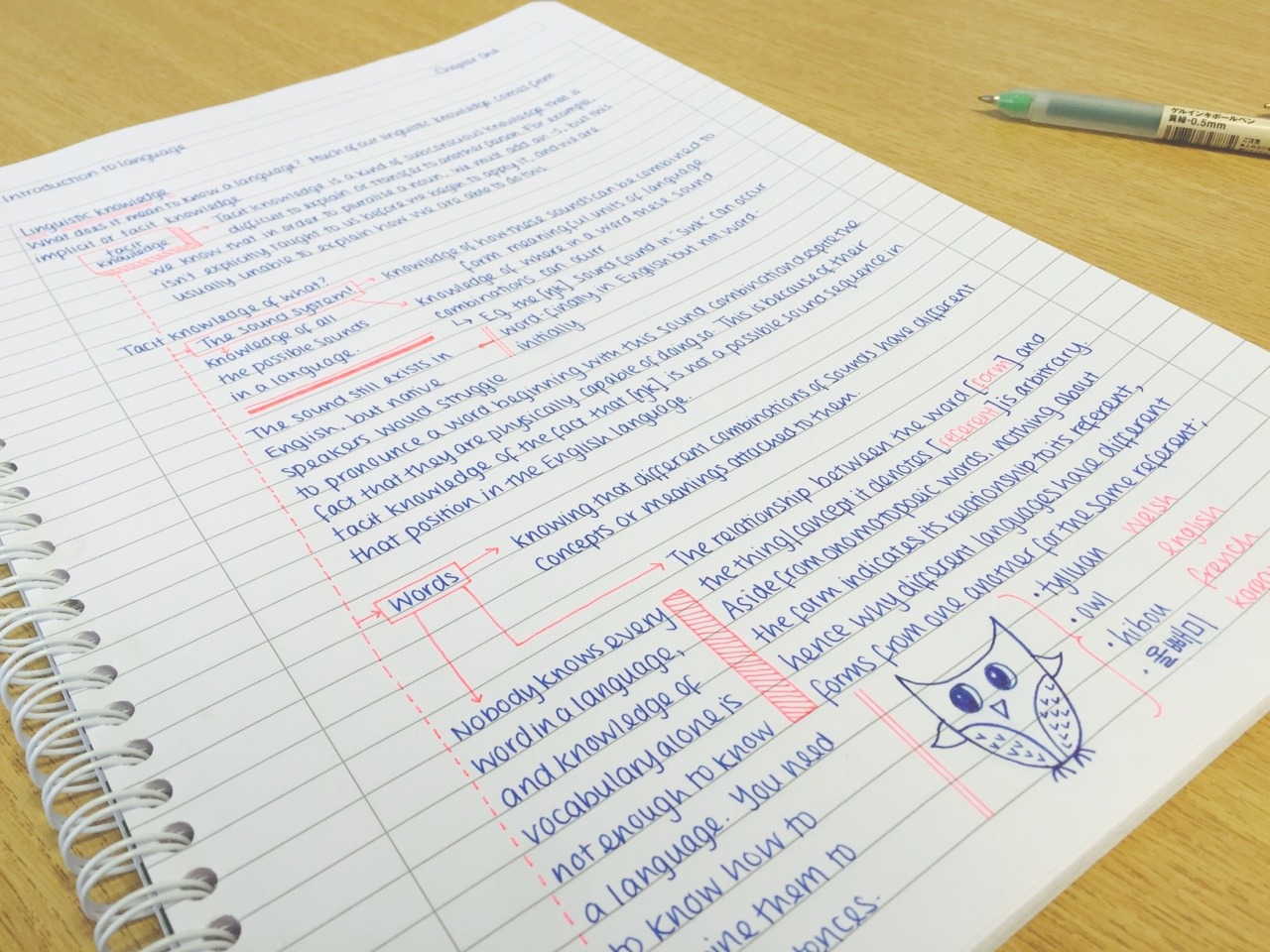 study-read-study:  17-07-2015 // This is what I’ve been doing with my morning so