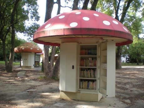 windwrinkle:Japanese mushroom library, Kyoto botanical gardens.