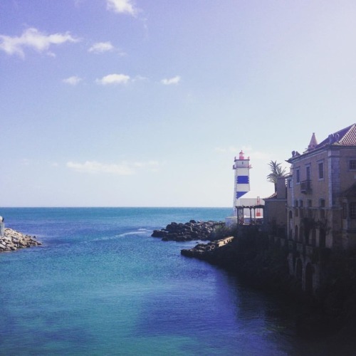 Belo dia de inverno. #winter #cascais #portugal #sunday