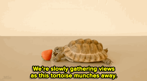 wafflesworld:  micdotcom:  Watch the video and read more about this brilliantly simple