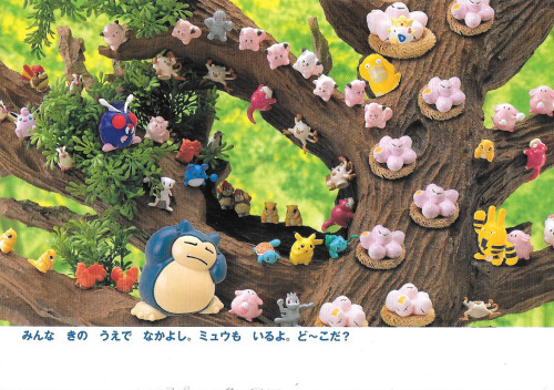 pokescans:  Postcard. 