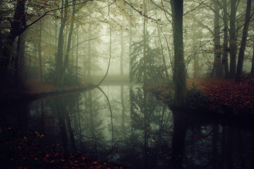 innerbohemienne:Still, and silent…